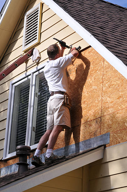 Best Insulated Siding Installation  in Daleville, VA